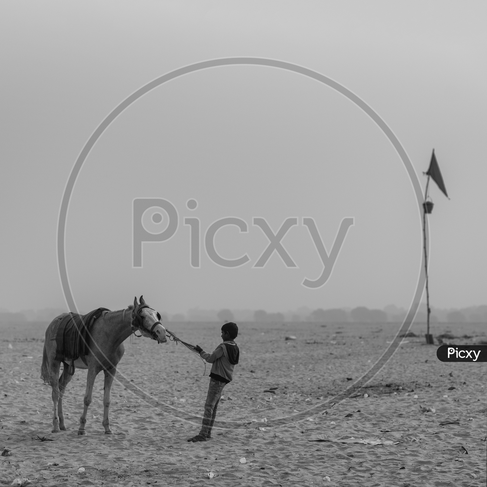 An indian boy with his horse in Varanasi