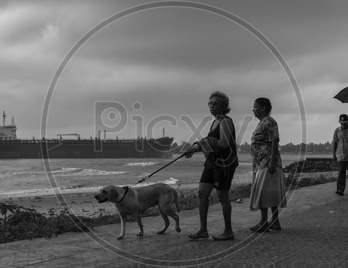 An Indian Woman With Her Dog On The Sea Shore in Kerala