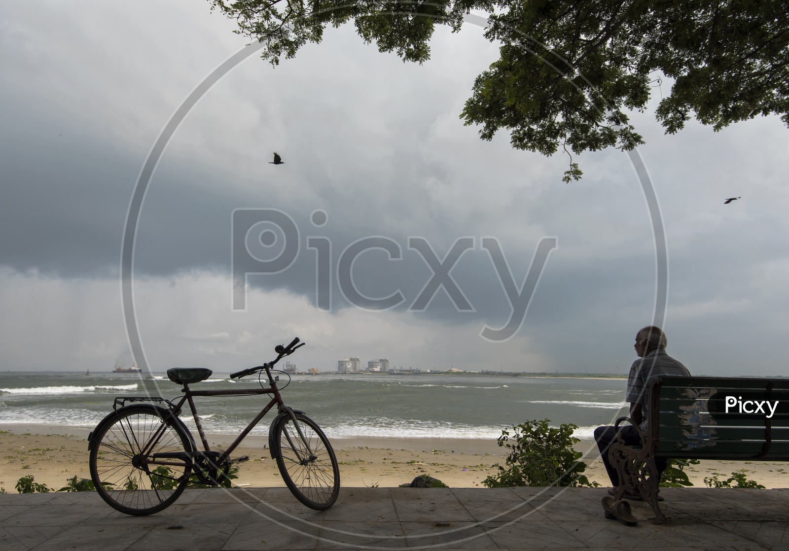 An Old Man Sitting alone On a Bench in Sea Shore with his Cycle besides Him In Kerala