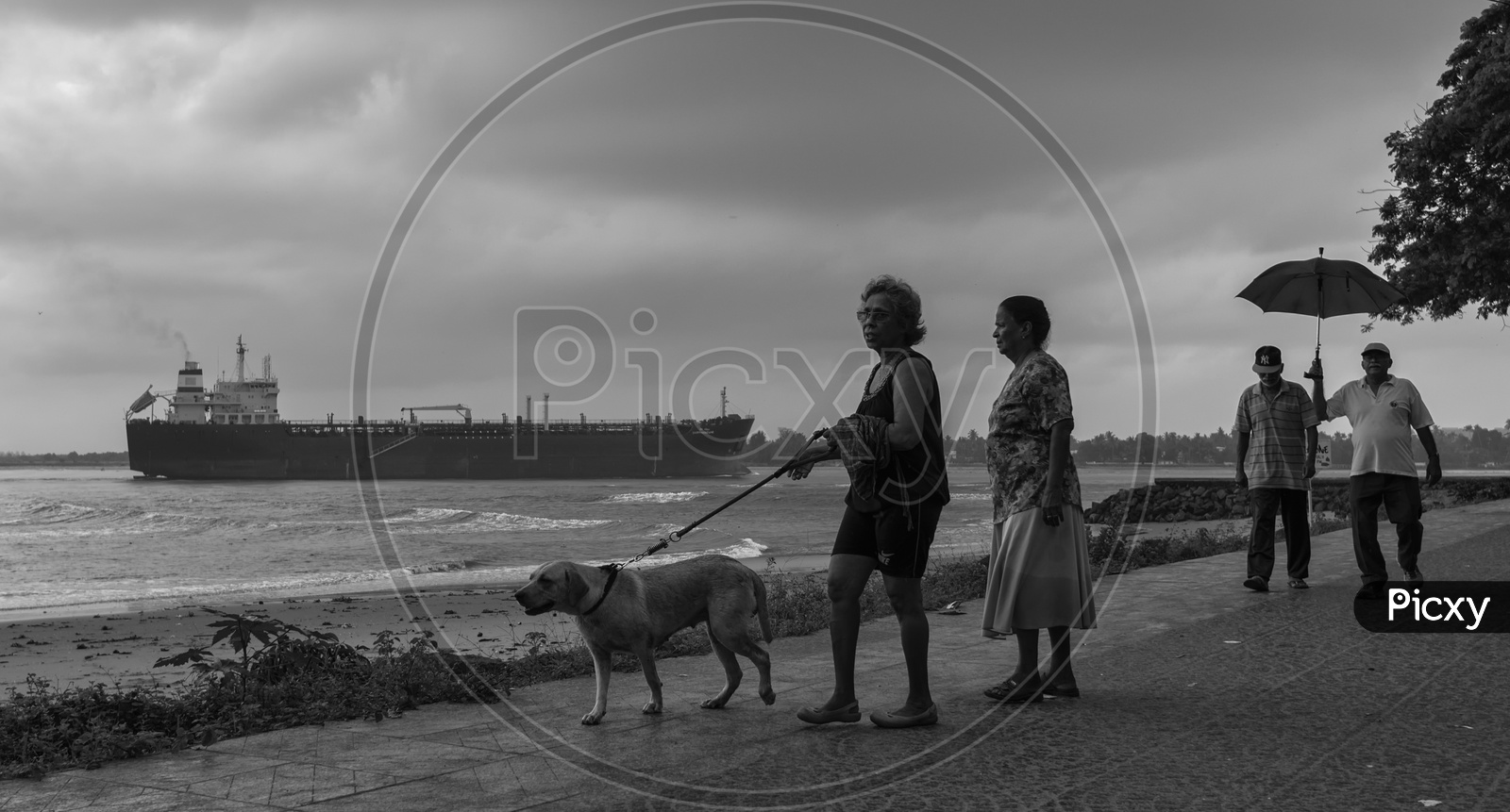 An Indian Woman With Her Dog On The Sea Shore in Kerala