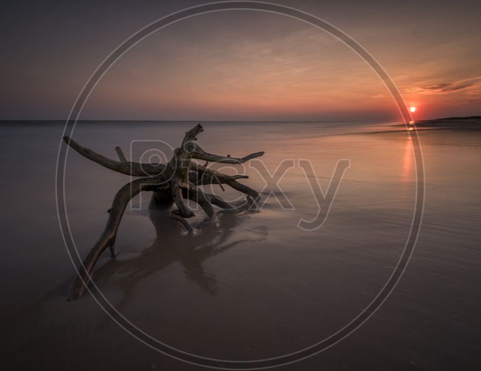 A Tree Wreaking In a Sea Composition Shot With long exposure on a beach