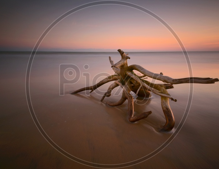 A Tree Wreaking from  Sea Composition Shot With long exposure on a beach