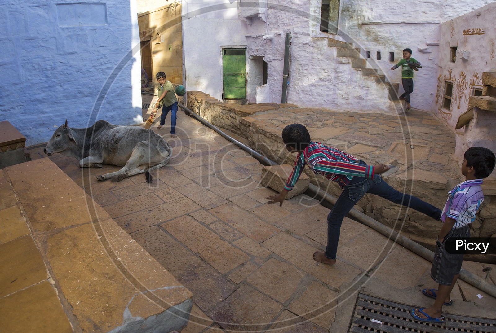 Children In jaisalmer Playing Cricket in Streets