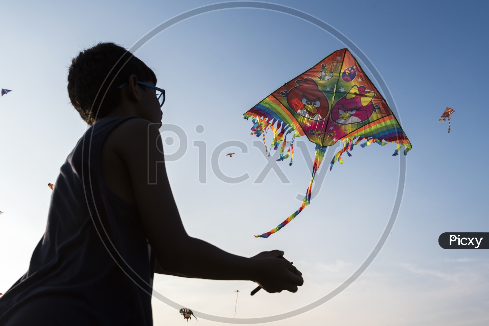 A Boy Flying Kite in kite Festival