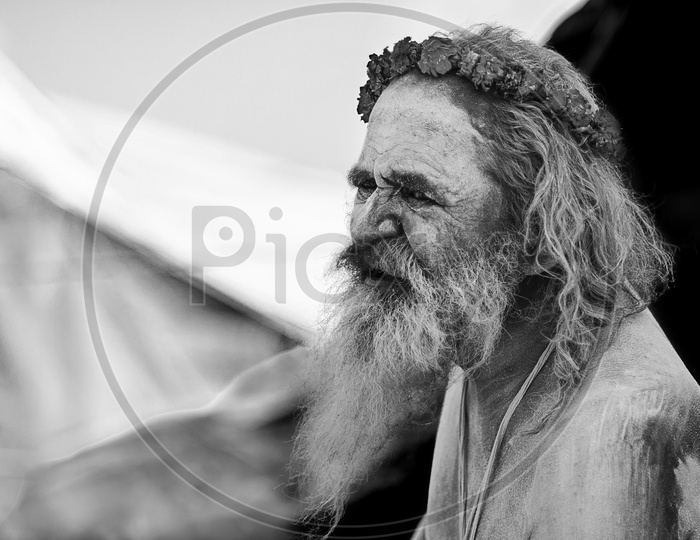 Portrait of a Sage, monk