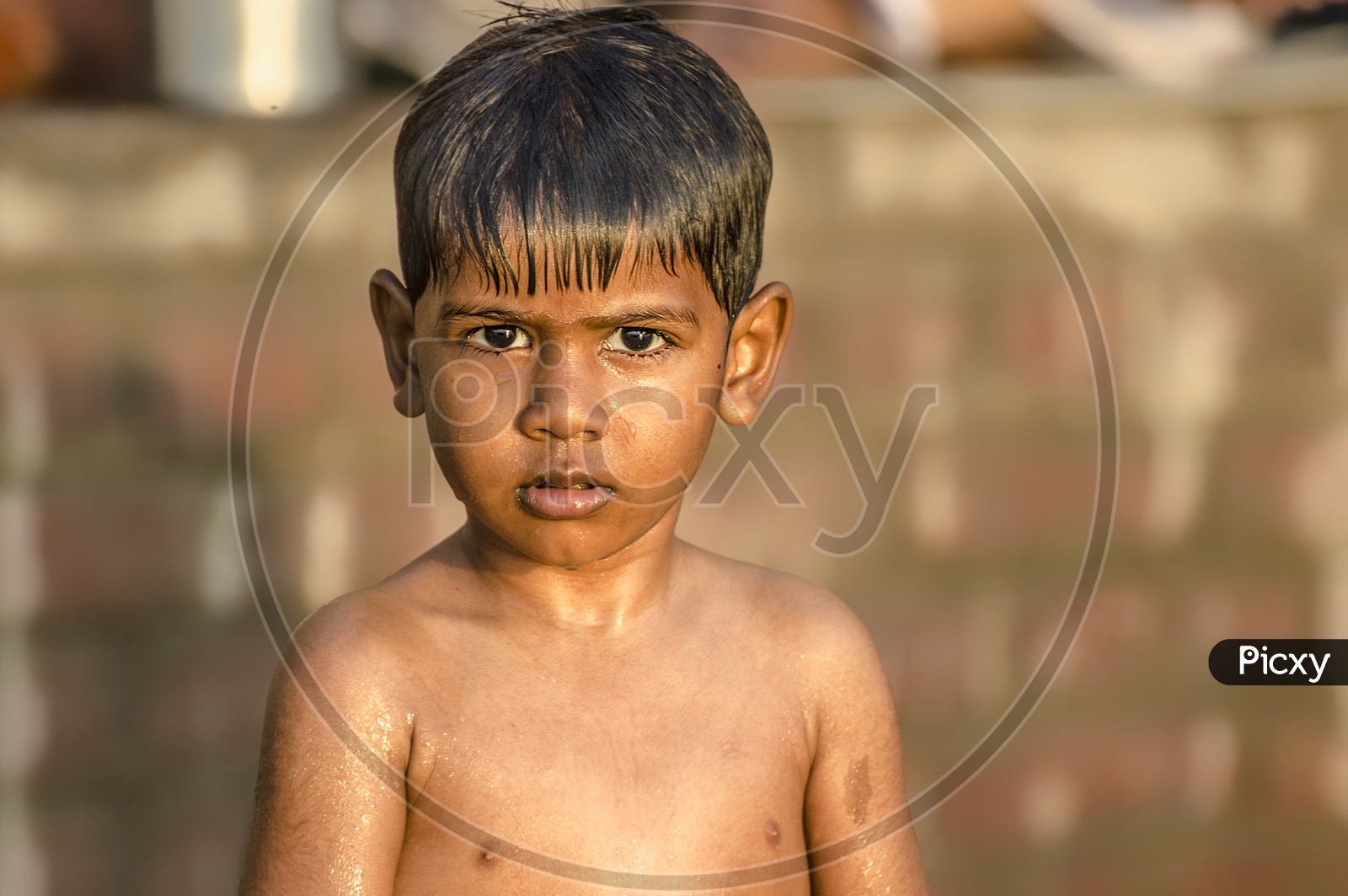 Portrait of Indian kid with beautiful sunlight