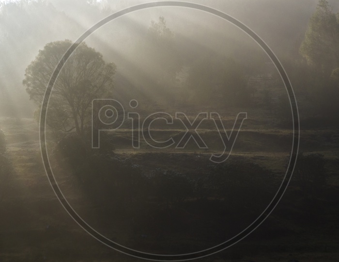 Beautiful Foggy Morning in Ooty with sun rays