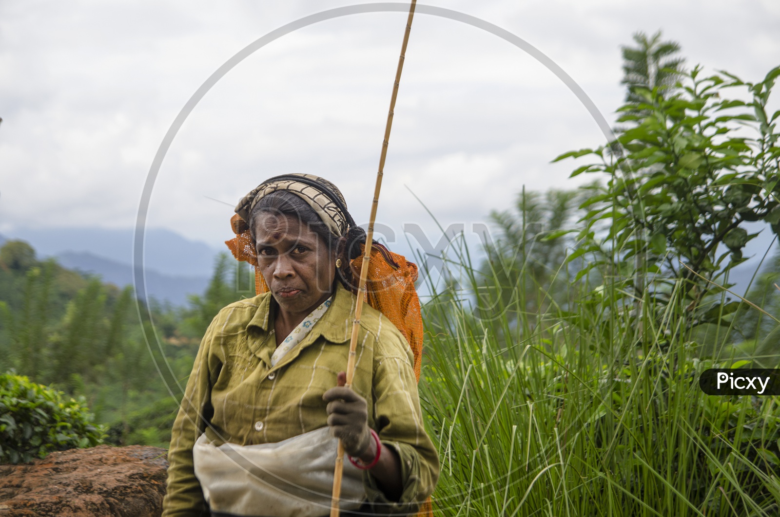 Portrait of Women Farmer in Sri Lanka