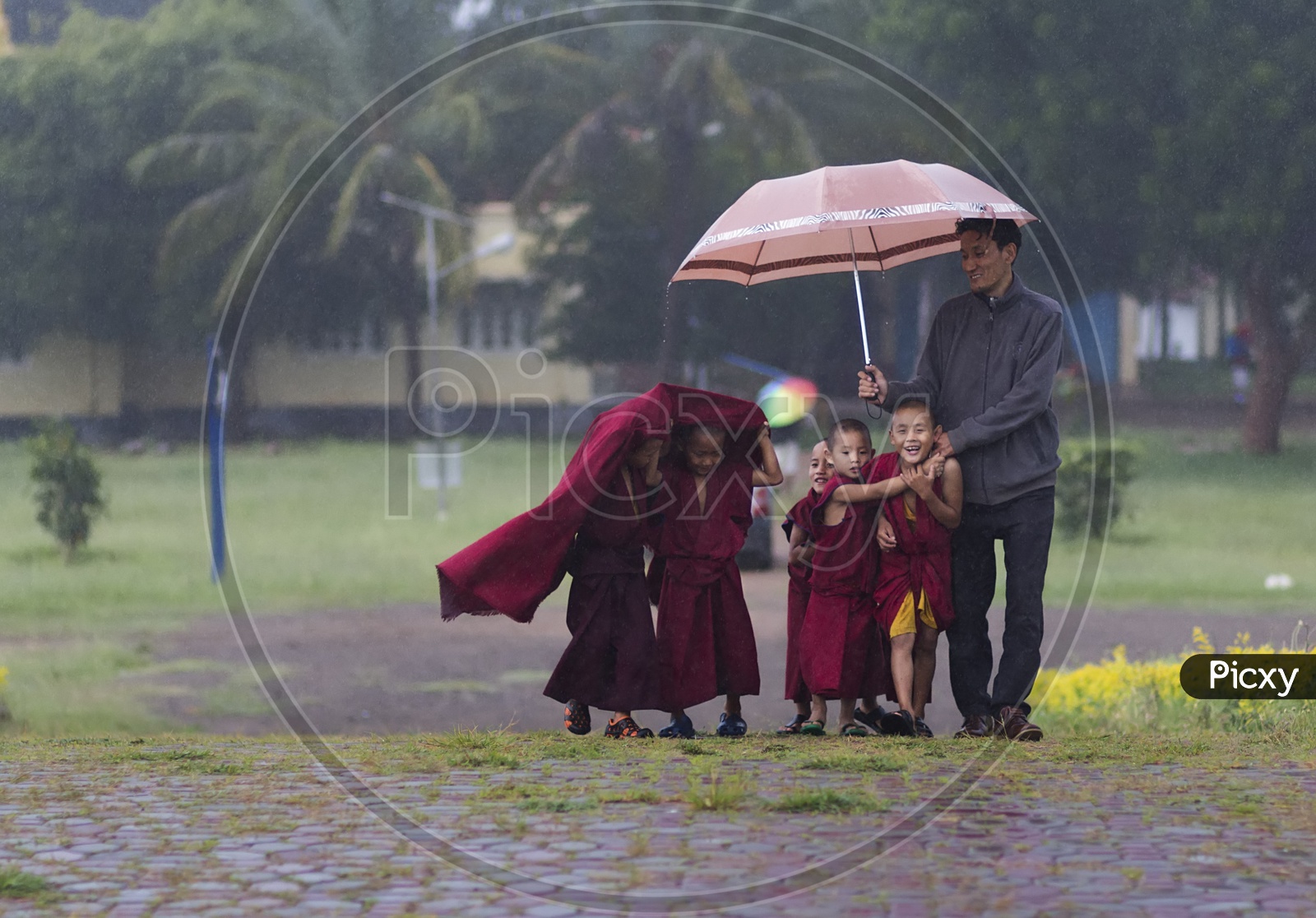 Little monks while it rains
