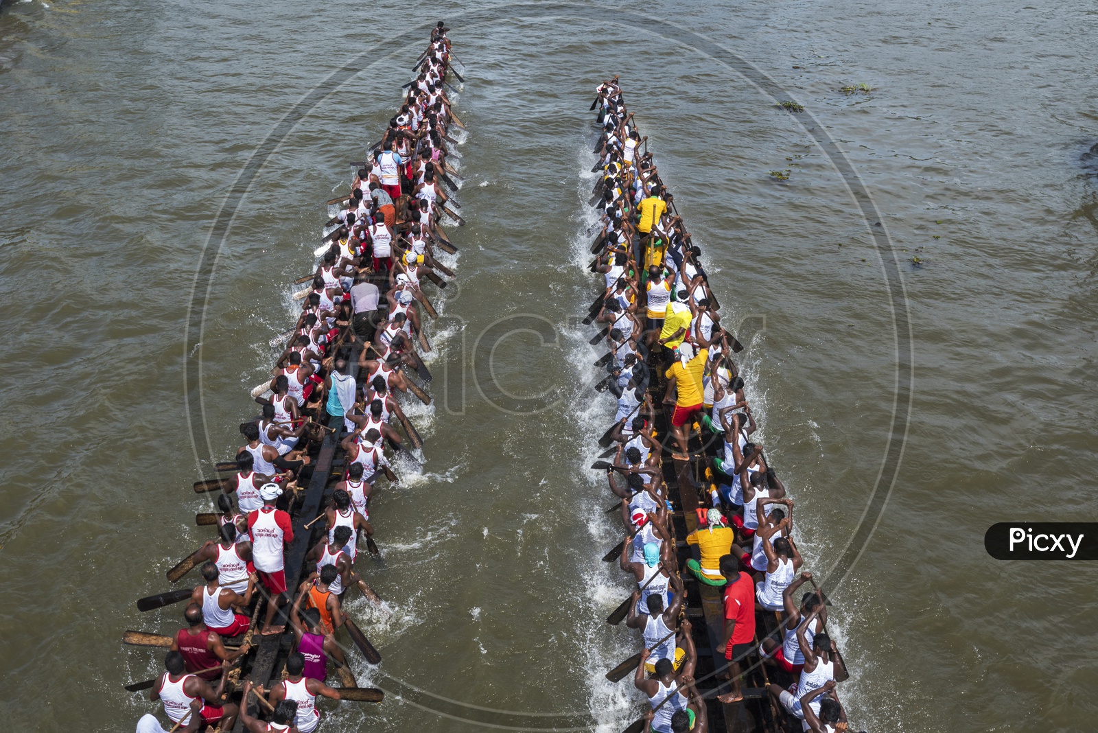 Oarsmen Rowing snake like  boats In Boat race Kerala