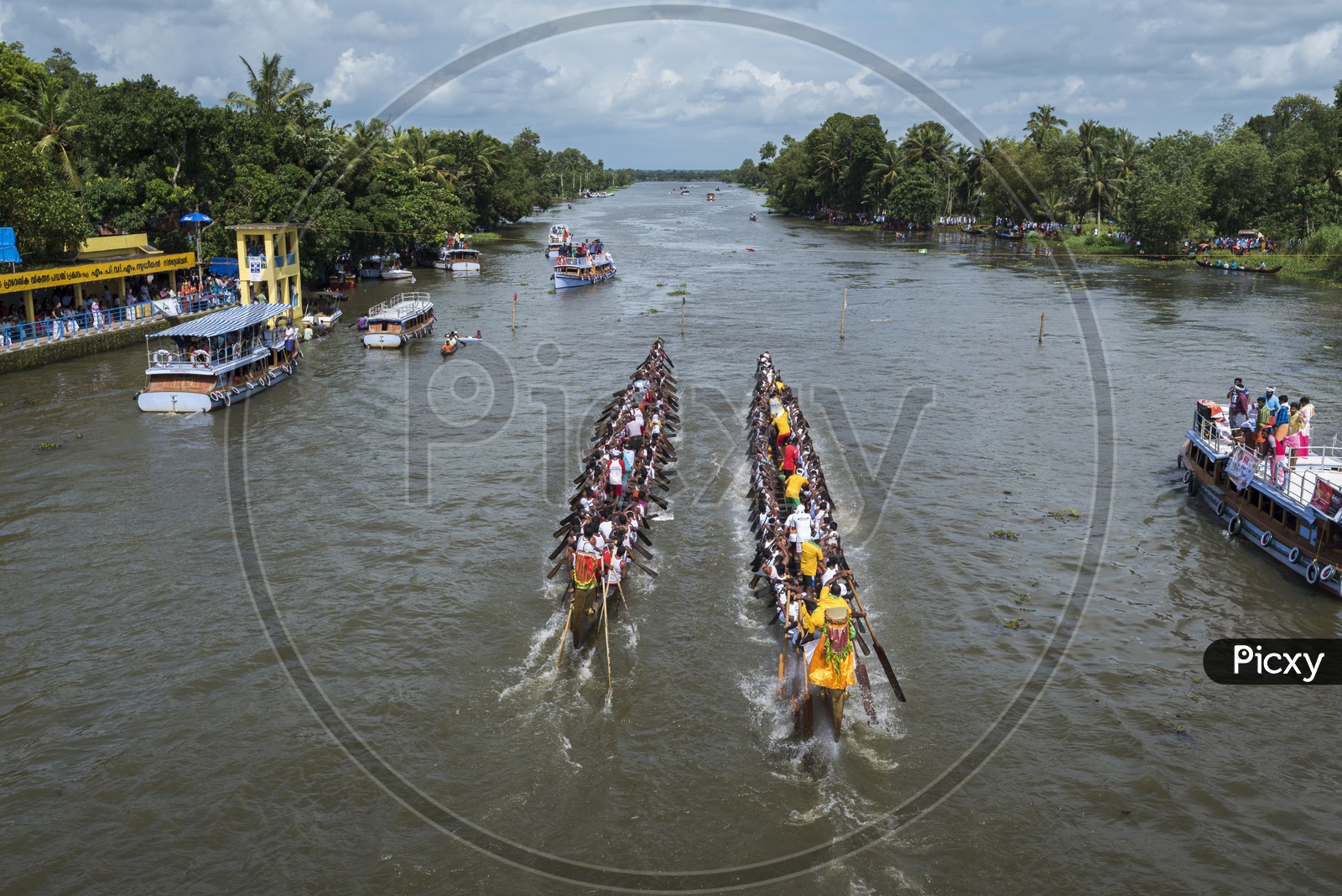 Oarsmen Rowing Snake like boats In Boat race Kerala