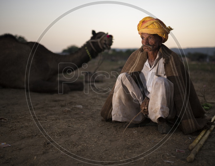 Camel Owners With Camels in Pushkar Camel Fair