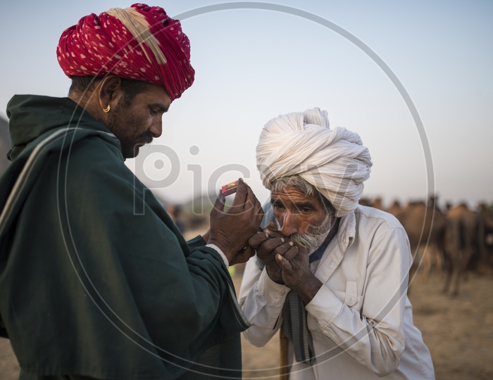 Rajasthan Camel Herders Lighting Ganja / Marijuana in Pushkar Camel Fair