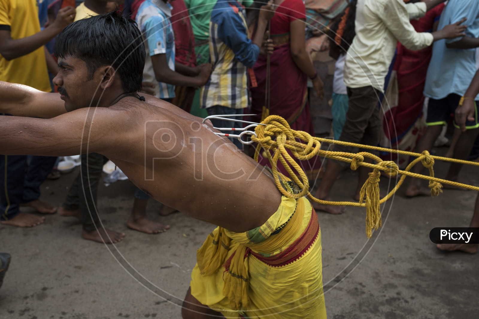 A Man Pulliing a Vehicle By Piercing his body With an iron hook as a coustom in dussera celebrations