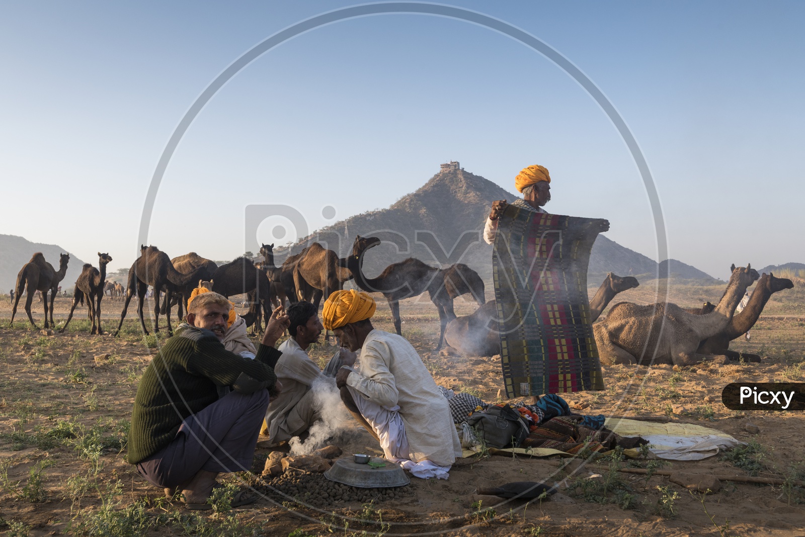 Camel herders Cooking Food in Pushkar Camel Fair