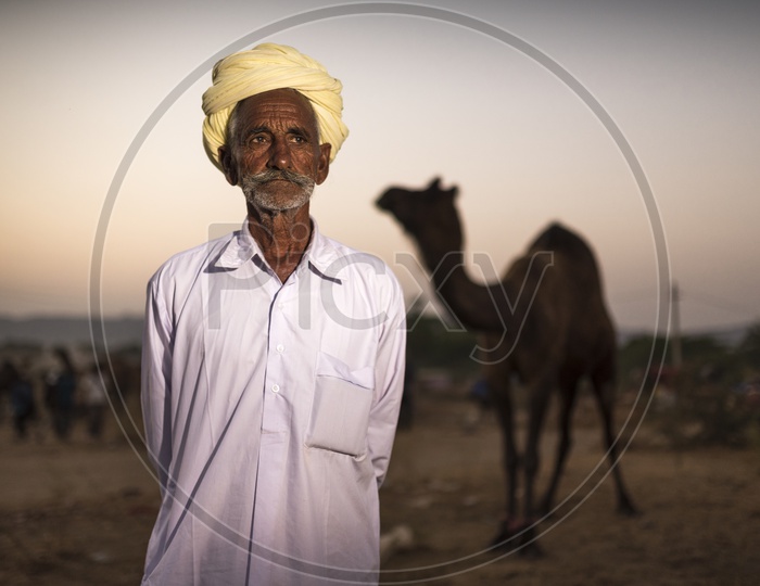 Portrait of A Camel Herder With His Camel In Pushkar Camel Fair