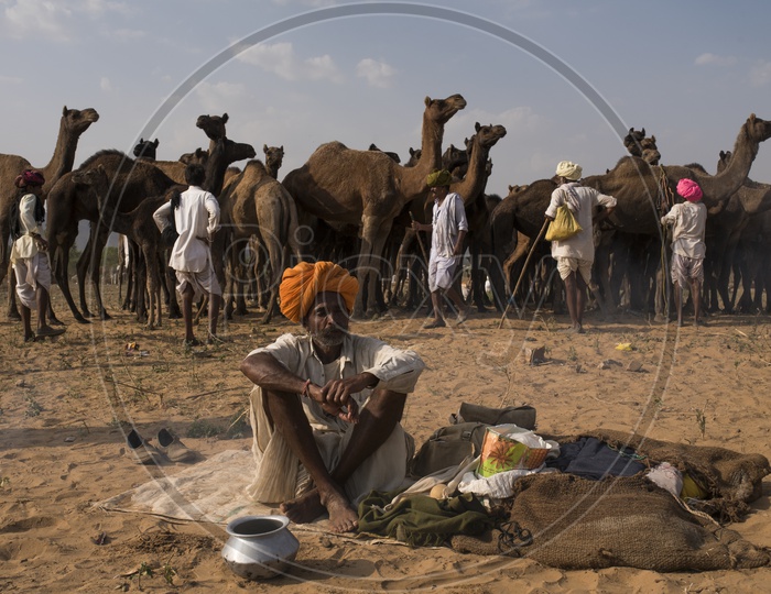 A Camel Trader Sitting and thinking Deeply in Pushkar Camel Fair