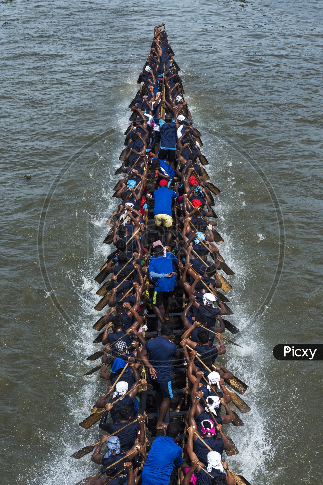 Oarsmen Rowing boats In Boat race Kerala