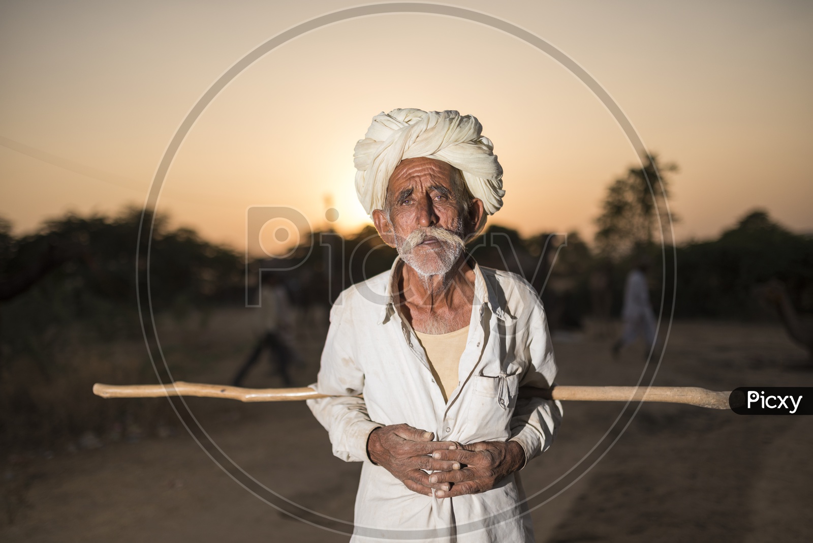 Portrait of A Camel Herder With His Camel In Pushkar Camel Fair