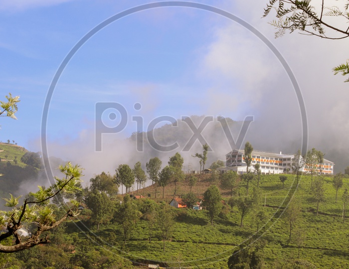 Tea Factory on Hills Landscape