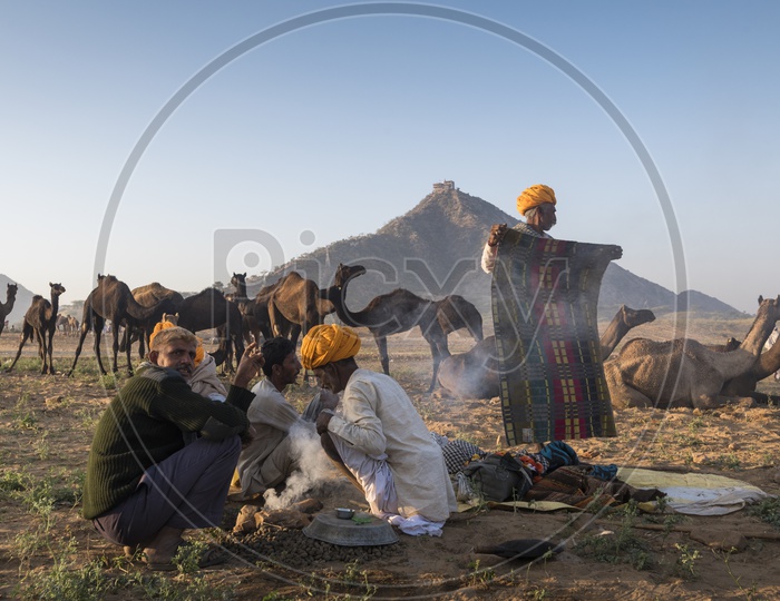 Camel herders Cooking Food in Pushkar Camel Fair