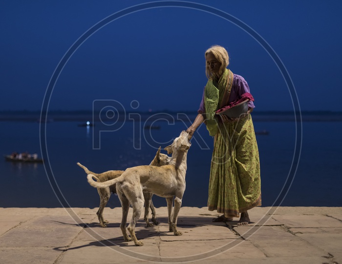 An Old Lady Vendor Feeding Dogs on Ganga River Banks