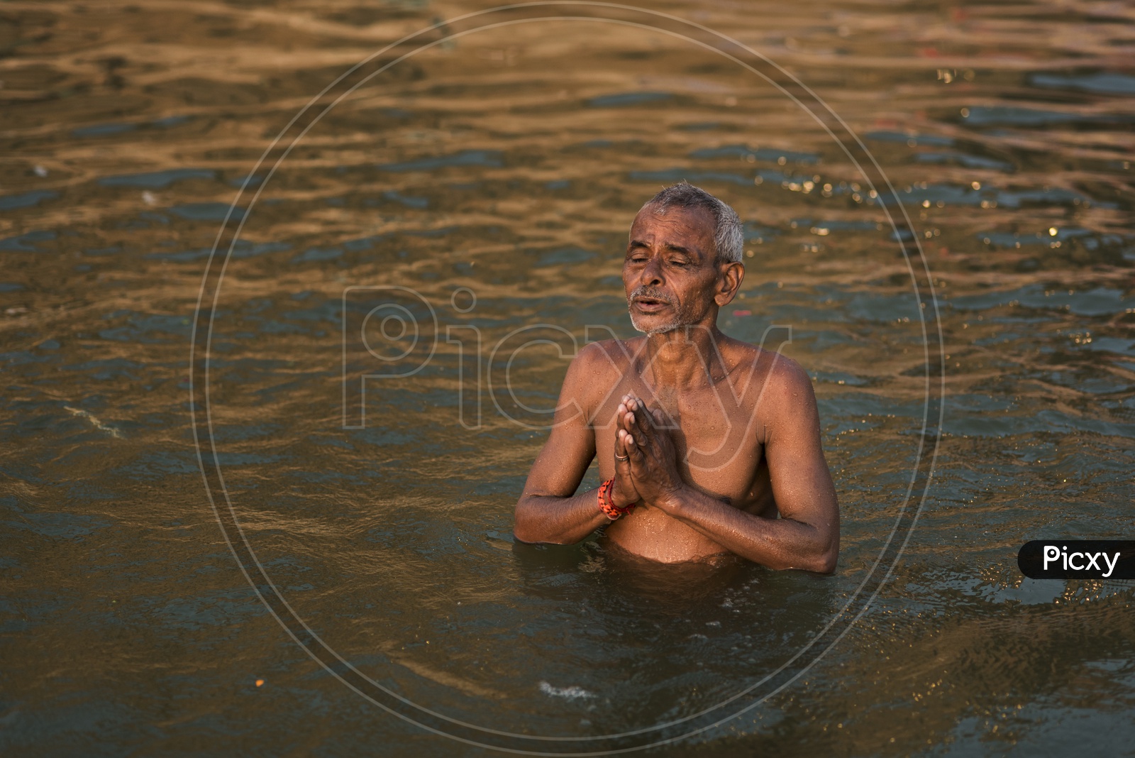Indian Hindu Devotee Taking a Holy Bath in Ganga River In Varanasi