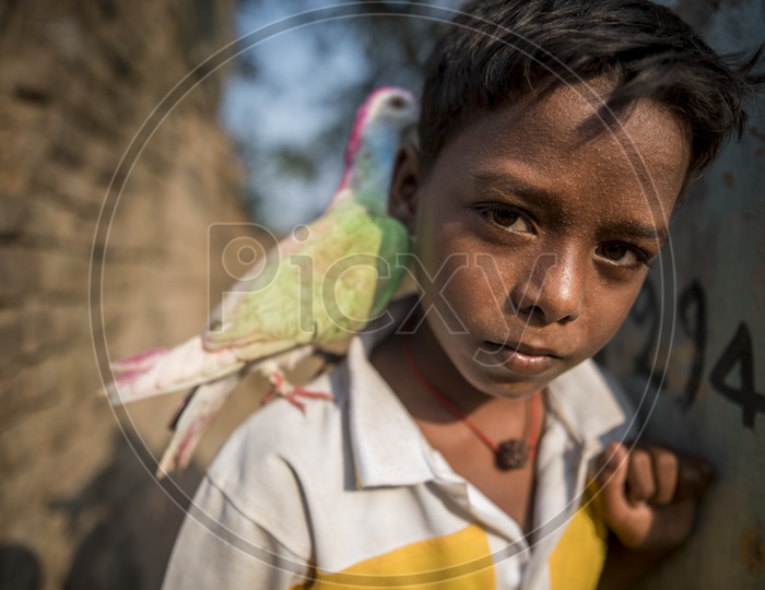 Indian Boy Playing With a Pigeon