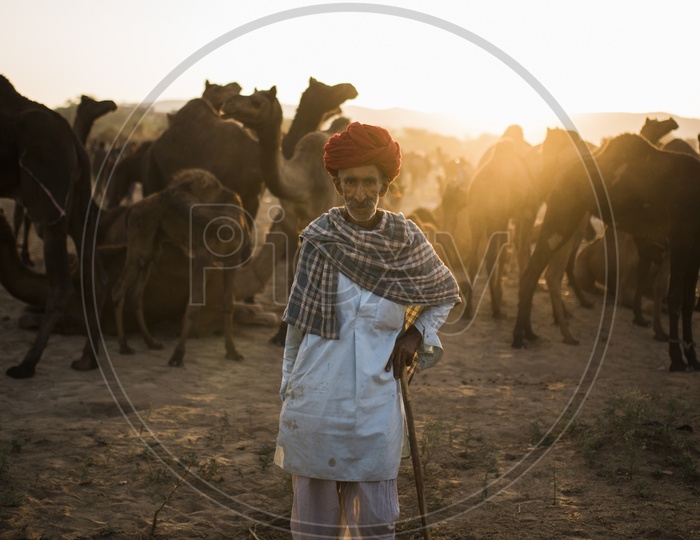 Portrait of a camel herder in Pushkar Camel Fair