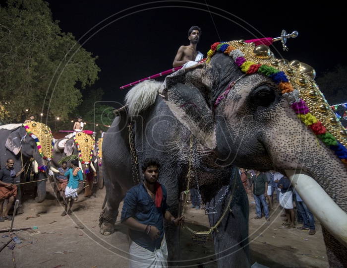 Elephants in Arattupuzha Pooram Festival