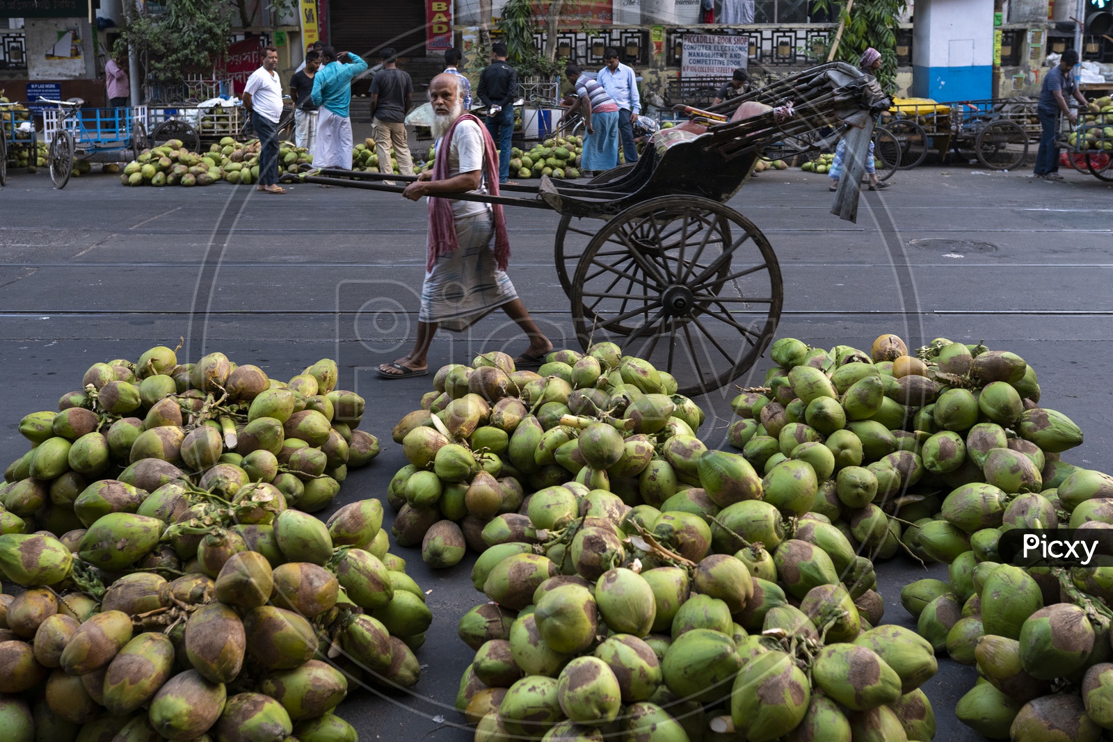 Old man pulling a rickshaw. Coconuts on the road