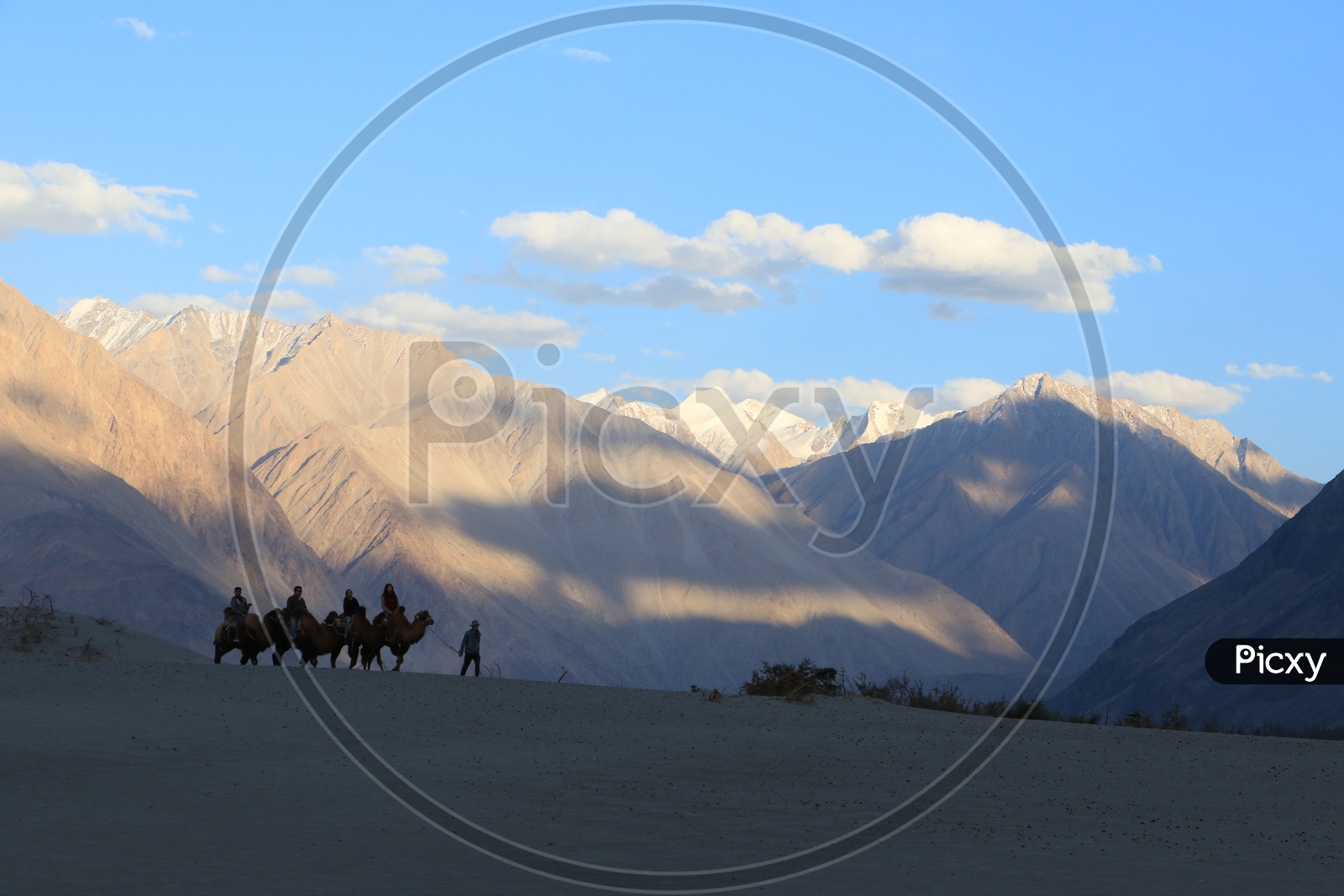 Travelers experiencing Camel Rides at Nubra Valley with beautiful mountains in the background
