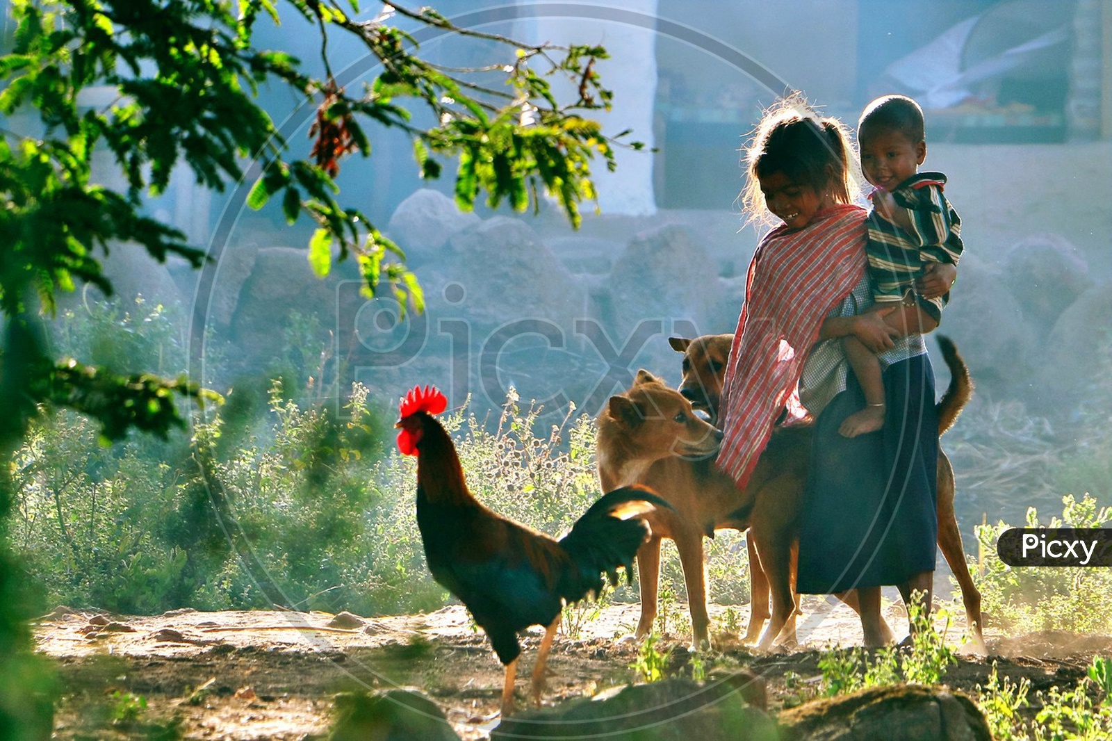 Tribal kids playing with the dogs and cock