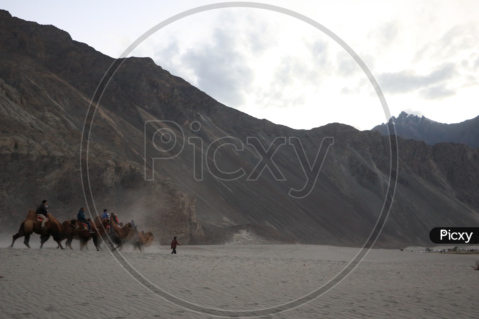 People experiencing Camel Rides at Nubra Valley with beautiful mountains in the background