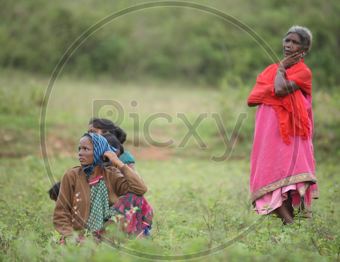 photograph of old women's sitting in agricultural fields, Araku