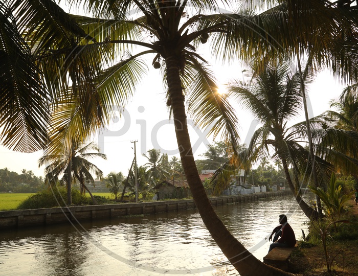 a person sits under the coconut tree beside a lake