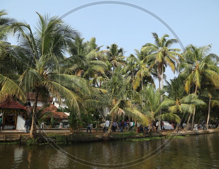Houses and coconut trees beside at Backwaters of Kerala