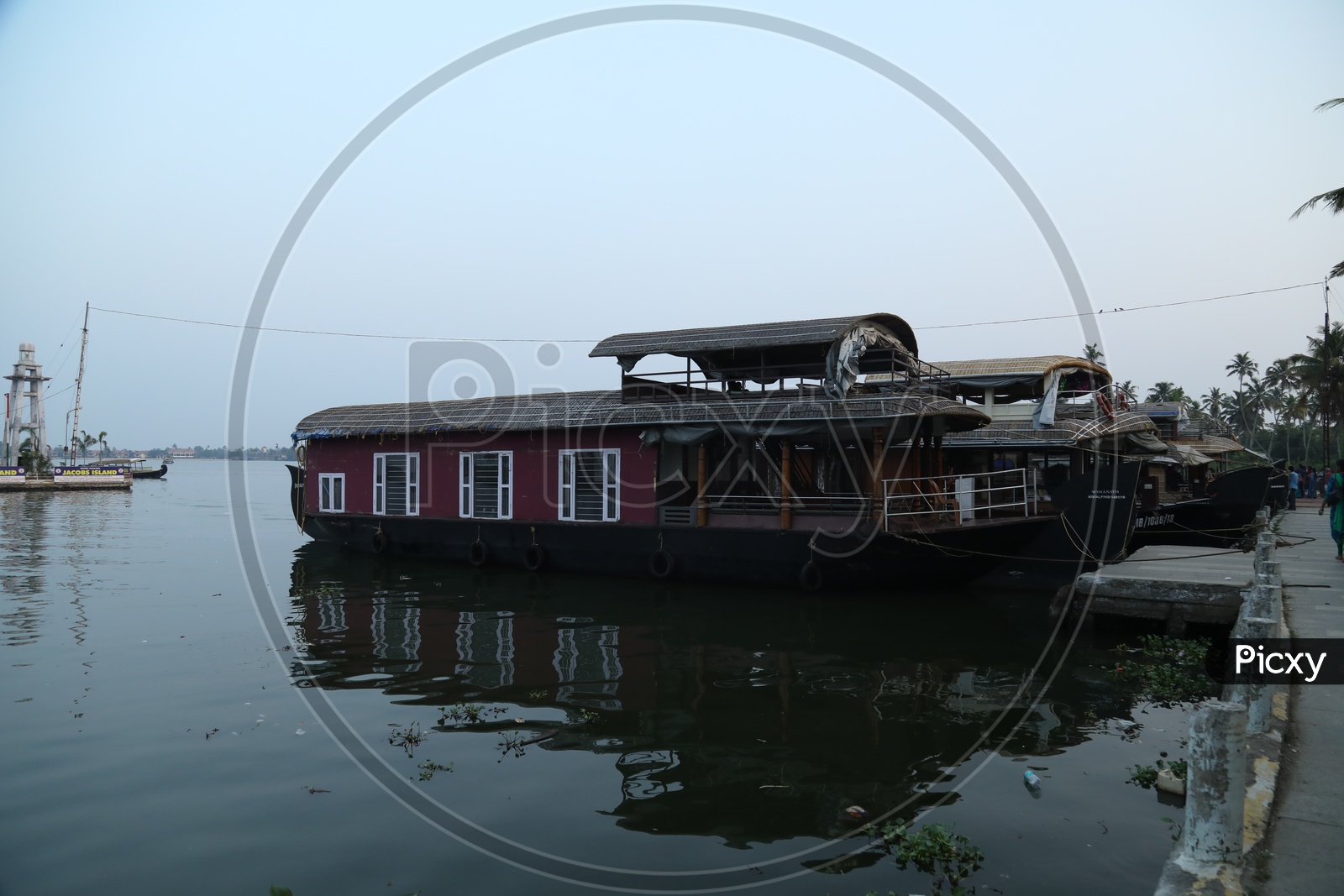 Boats rested in water in Kerala local lake