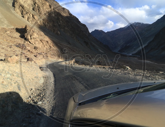Roadways of leh with beautiful mountains in the background captured from moving car