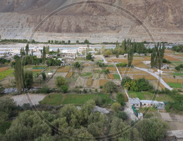 aerial view of agriculture fields in leh