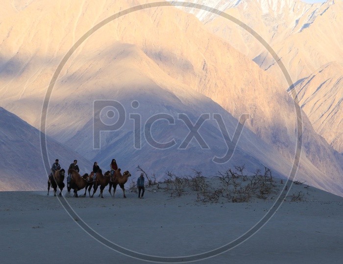 Travelers experiencing Camel Rides at Nubra Valley with beautiful mountains in the background