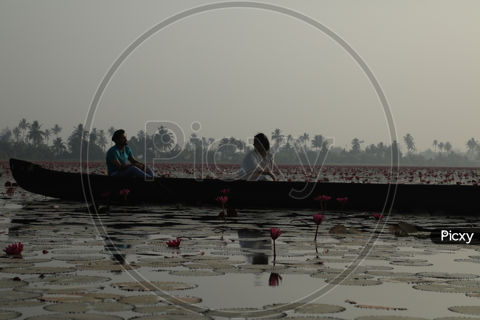 people travel in boat on lake with lotus flowers