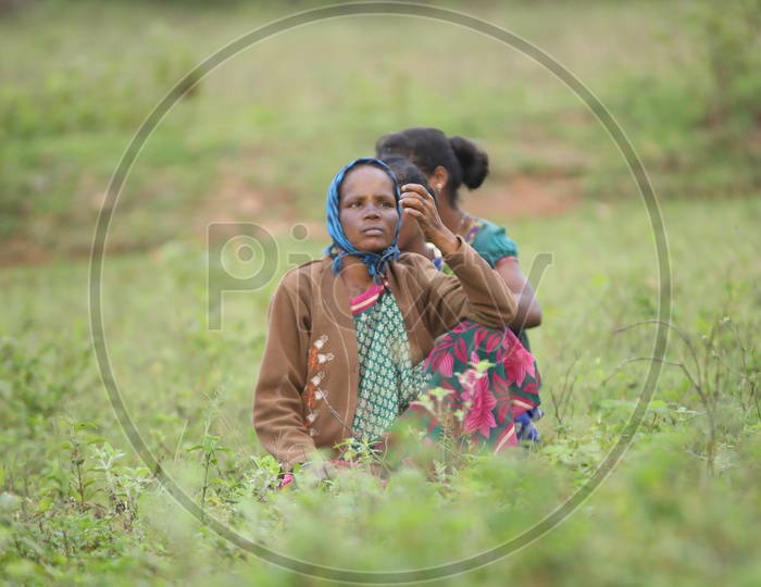 photograph of old women sitting in agricultural fields