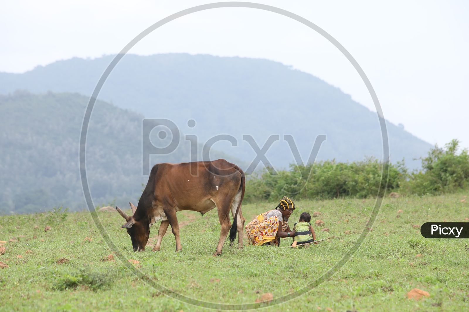 Women with a child and cow eating grass