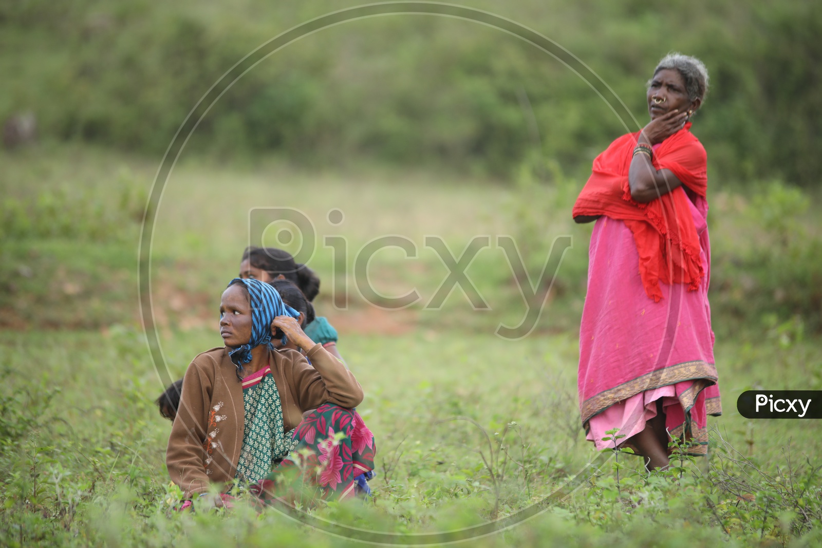 photograph of old women's sitting in agricultural fields, Araku