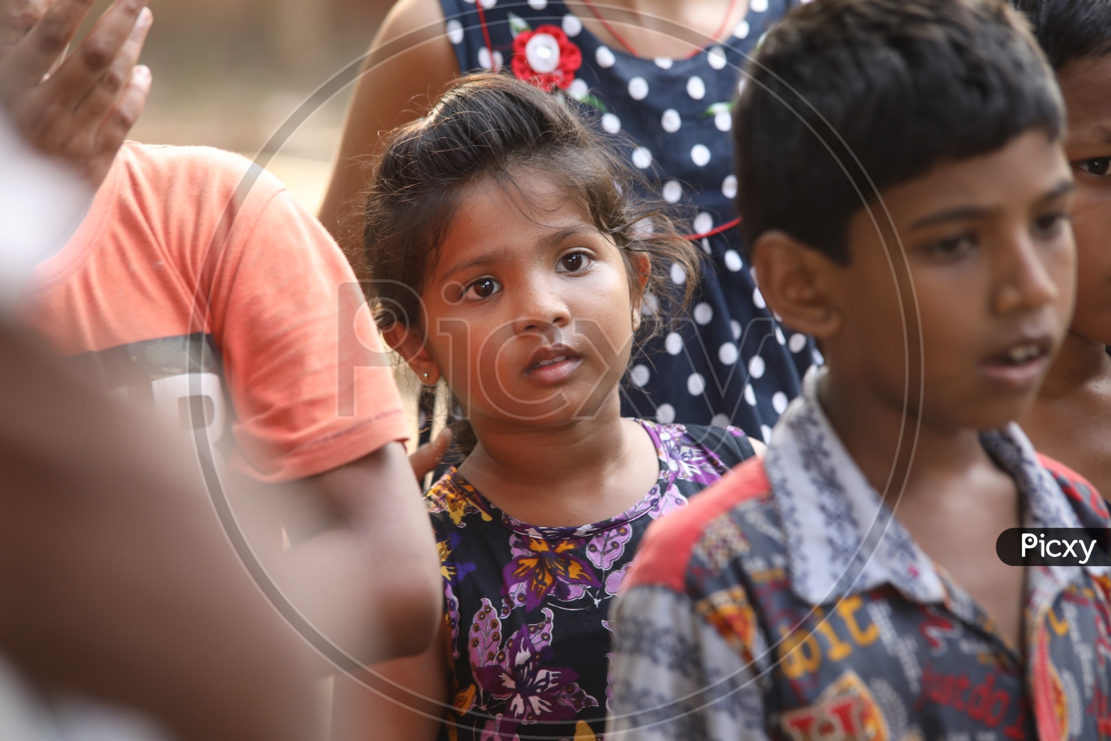 image-of-indian-girl-child-in-a-group-bg425081-picxy