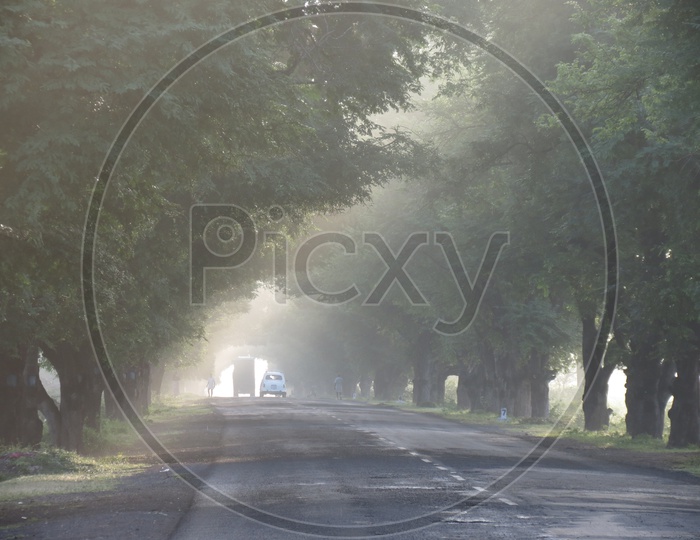 Vehicles on  a Road in a Foggy morning