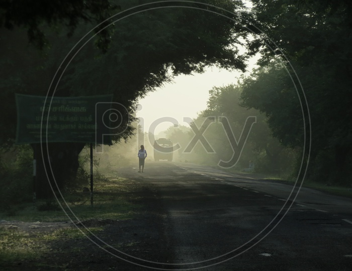 A Public Bus On a Road In Foggy Morning