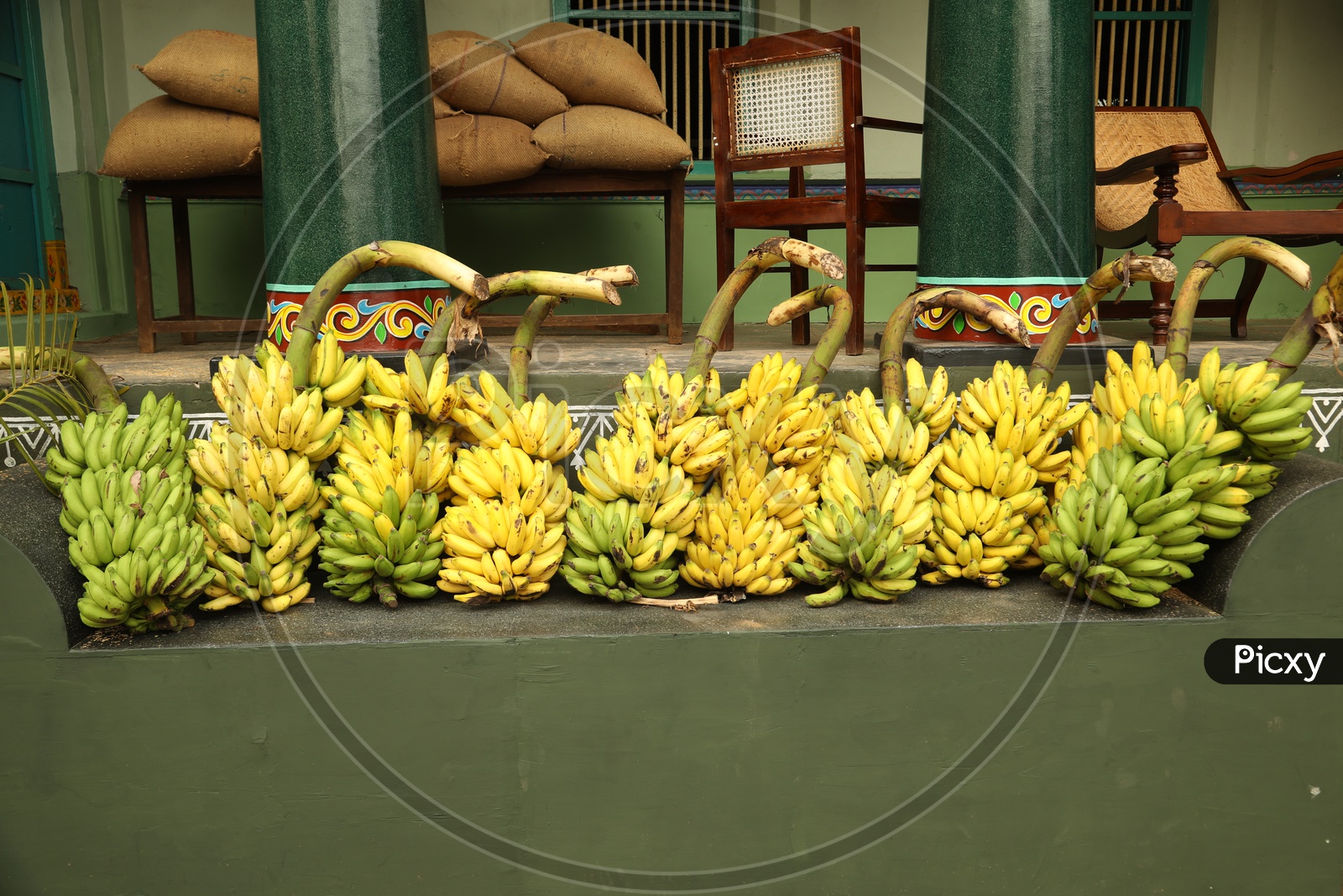 Bunches of bananas at Village house