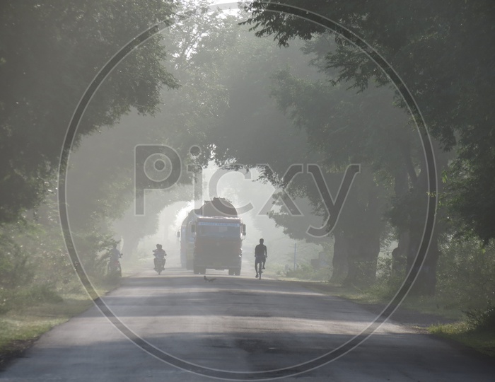 Vehicles on a Road covered with trees in a foggy morning in rural area
